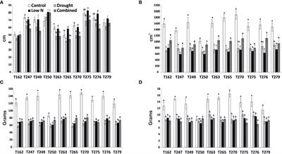 Transcriptomic and splicing changes underlying tomato responses to combined water and nutrient stress